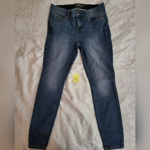Torrid Jeans